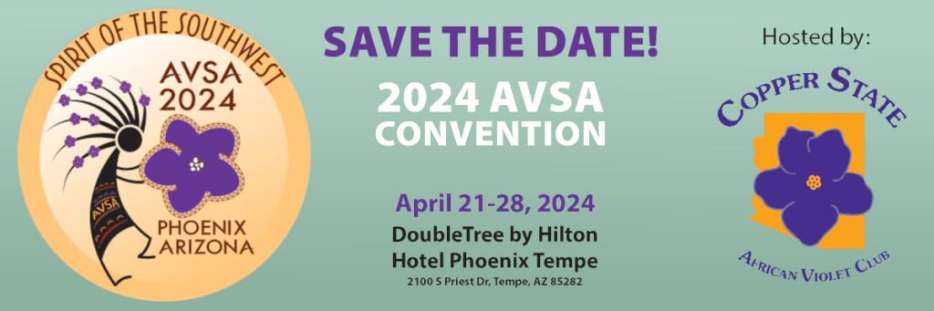 AVSA 2024 Convention
